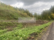 Prodej, Les, Český Dub, cena 15 CZK / m2, nabízí 