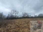 Prodej louky, Bořetín, Česká Lípa., cena 900000 CZK / objekt, nabízí 