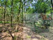 Prodej pozemku v Dubé, Českolipsko. Prodej lesního pozemku o rozloze 1360m2. , cena 350000 CZK / objekt, nabízí 