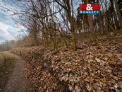 Prodej lesa o rozloze 1.939m2 v Semilech, cena 200000 CZK / objekt, nabízí 