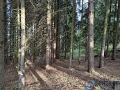 Prodáváme exkluzivně lesy v obci Jirkov u Železného Brodu o celkové výměře 15992 m2,, cena 50 CZK / m2, nabízí 